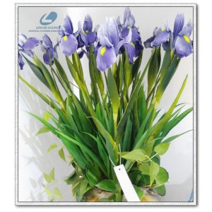 http://www.ls-decos.com/52-904-thickbox/iris-flower.jpg