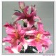artificial flowers, silk flowers,real touch flowers,artificial lily 