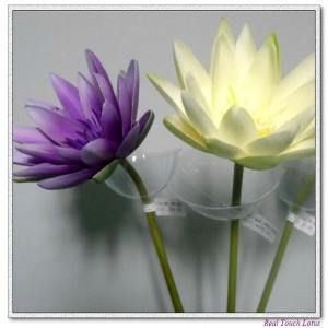 http://www.ls-decos.com/60-336-thickbox/lotus-water-lily-.jpg
