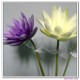 artificial flowers,silk flowers,real touch flowers,lotus,water lily﻿