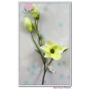 http://www.ls-decos.com/69-370-thickbox/magnolia-2.jpg