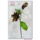 Magnolia 1flower 1bud