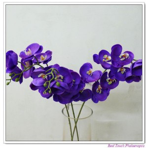 http://www.ls-decos.com/84-447-thickbox/phalaenopsis-orchid.jpg