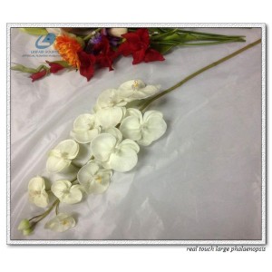 http://www.ls-decos.com/85-455-thickbox/phalaenopsis-orchid-large.jpg