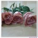Rose bud stem 