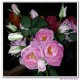 real touch flowers, silk flowers, artificial flowers,roses