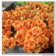 Rose bouquets