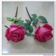 Diamond rose short stem